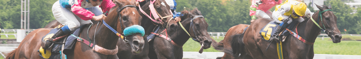 Gulfstream Park | 2025/07/18 22:32 EN VIVO | 1xbet Venezuela | Cuotas y ...